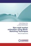 Non-rigid motion estimation using Block-Matching Techniques
