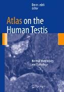Atlas on the Human Testis