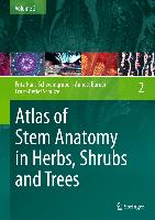 Atlas of Stem Anatomy in Herbs, Shrubs and Trees