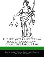 The Ultimate Guide to Law Book 23: Labour Law - Collective Labour Law