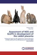 Assessment of NOS and GLUTS in development of the rabbit placenta