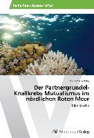 Der Partnergrundel-Knallkrebs Mutualismus im nördlichen Roten Meer