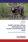 GnRH and diet effects testosterone and scrotal circumference of bulls