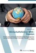 Wirtschaftsführer BRIC-Staaten