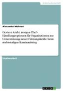 Gestern Azubi, morgen Chef - Handlungsoptionen für Organisationen zur Unterstützung neuer Führungskräfte beim mehrstufigen Kaminaufstieg