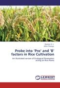 Probe into 'Pro' and 'B' factors in Rice Cultivation