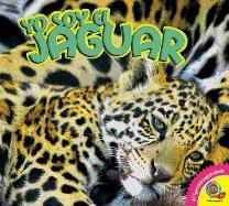 Yo Soy El Jaguar, with Code
