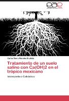 Tratamiento de un suelo salino con Ca(OH)2 en el trópico mexicano