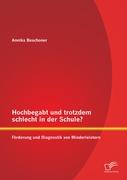 Hochbegabt und trotzdem schlecht in der Schule? Förderung und Diagnostik von Minderleistern