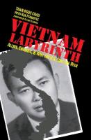 Vietnam Labyrinth: Allies, Enemies, and Why the U.S. Lost the War