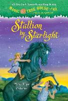 Stallion by Starlight