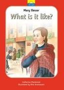 Mary Slessor: What Is It Like?: The True Story of Mary Slessor and Her African Adventure