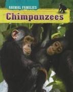 Animal Families Chimpanzees