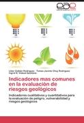 Indicadores mas comunes en la evaluación de riesgos geológicos