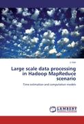 Large scale data processing in Hadoop MapReduce scenario
