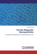 Ferrite Magnetic Nanoparticles
