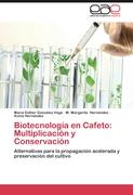 Biotecnología en Cafeto: Multiplicación y Conservación