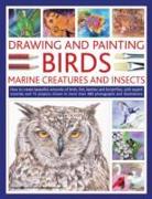 Drawing and Painting Birds, Marine Creatures and Insects