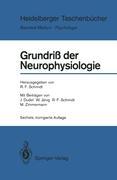 Grundriß der Neurophysiologie