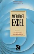 Programmierleitfaden Microsoft EXCEL