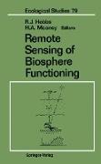 Remote Sensing of Biosphere Functioning