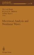 Microlocal Analysis and Nonlinear Waves