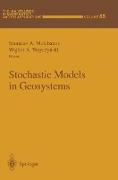 Stochastic Models in Geosystems