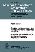 Struktur und Innervation des juxtaglomerulären Apparates der Ratte / Structure and Innervation of the Juxtaglomerular Apparatus of the Rat