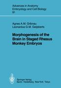 Morphogenesis of the Brain in Staged Rhesus Monkey Embryos
