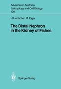 The Distal Nephron in the Kidney of Fishes