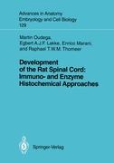 Development of the Rat Spinal Cord: Immuno- and Enzyme Histochemical Approaches