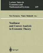 Nonlinear and Convex Analysis in Economic Theory
