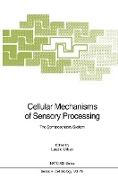 Cellular Mechanisms of Sensory Processing