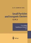 Small Particles and Inorganic Clusters