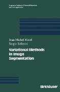 Variational Methods in Image Segmentation