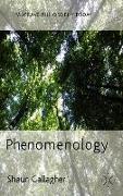 Phenomenology