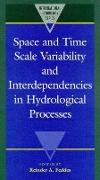 Space and Time Scale Variability and Interdependencies in Hydrological Processes