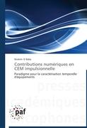 Contributions numériques en CEM impulsionnelle