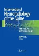 Interventional Neuroradiology of the Spine