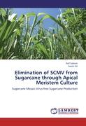 Elimination of SCMV from Sugarcane through Apical Meristem Culture