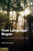 How Language Began