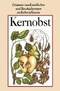 Kernobst