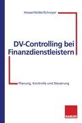 DV-Controlling bei Finanzdienstleistern
