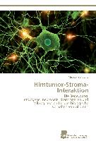 Hirntumor-Stroma-Interaktion