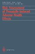 Risk Assessment of Prenatally-Induced Adverse Health Effects