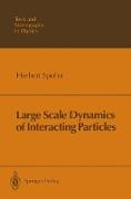 Large Scale Dynamics of Interacting Particles