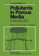 Pollutants in Porous Media