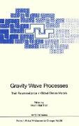 Gravity Wave Processes