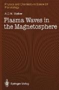 Plasma Waves in the Magnetosphere