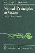 Neural Principles in Vision